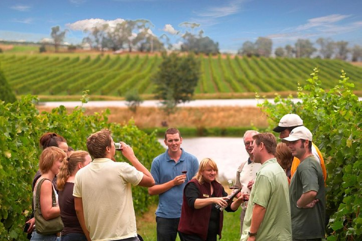 Which Winery To Visit In Yarra Valley